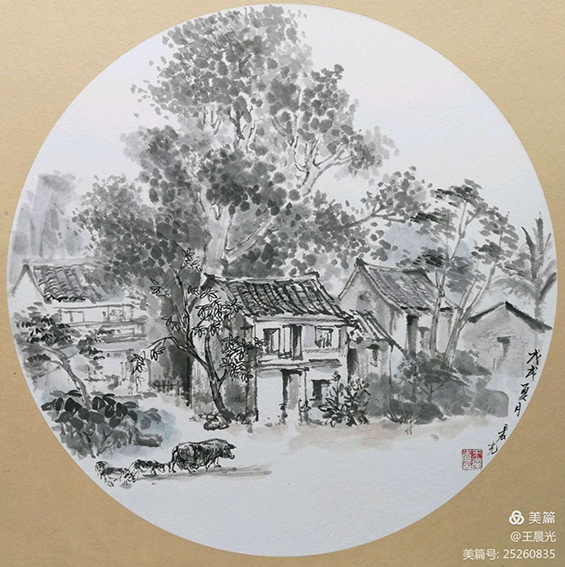 王晨光作品11