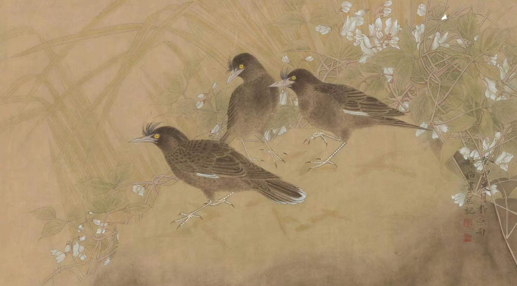 乡野