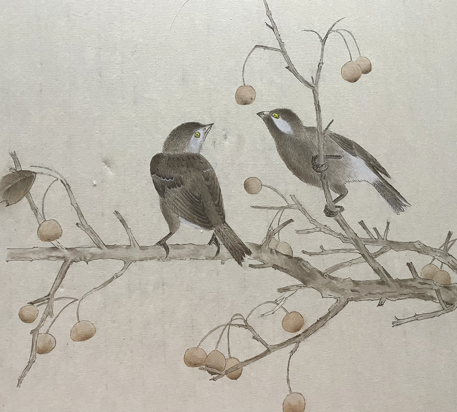 樱趣45×32