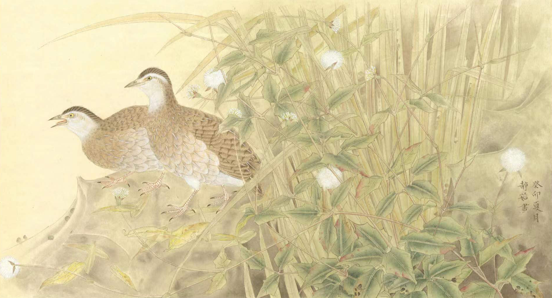 秋