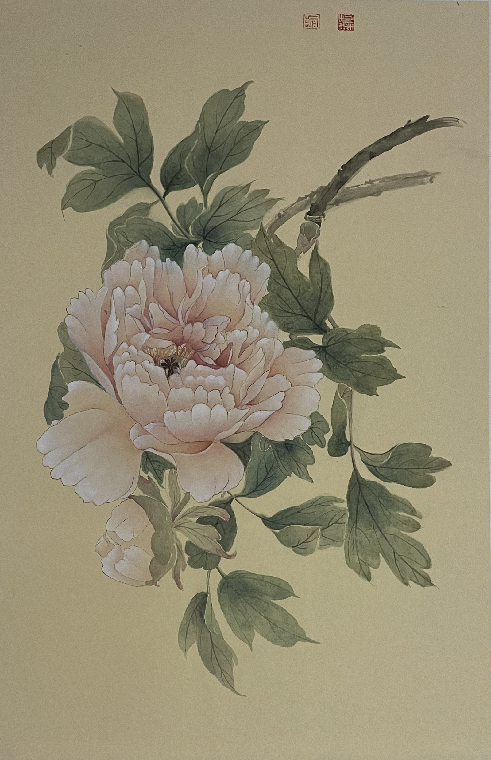 花魁45×32