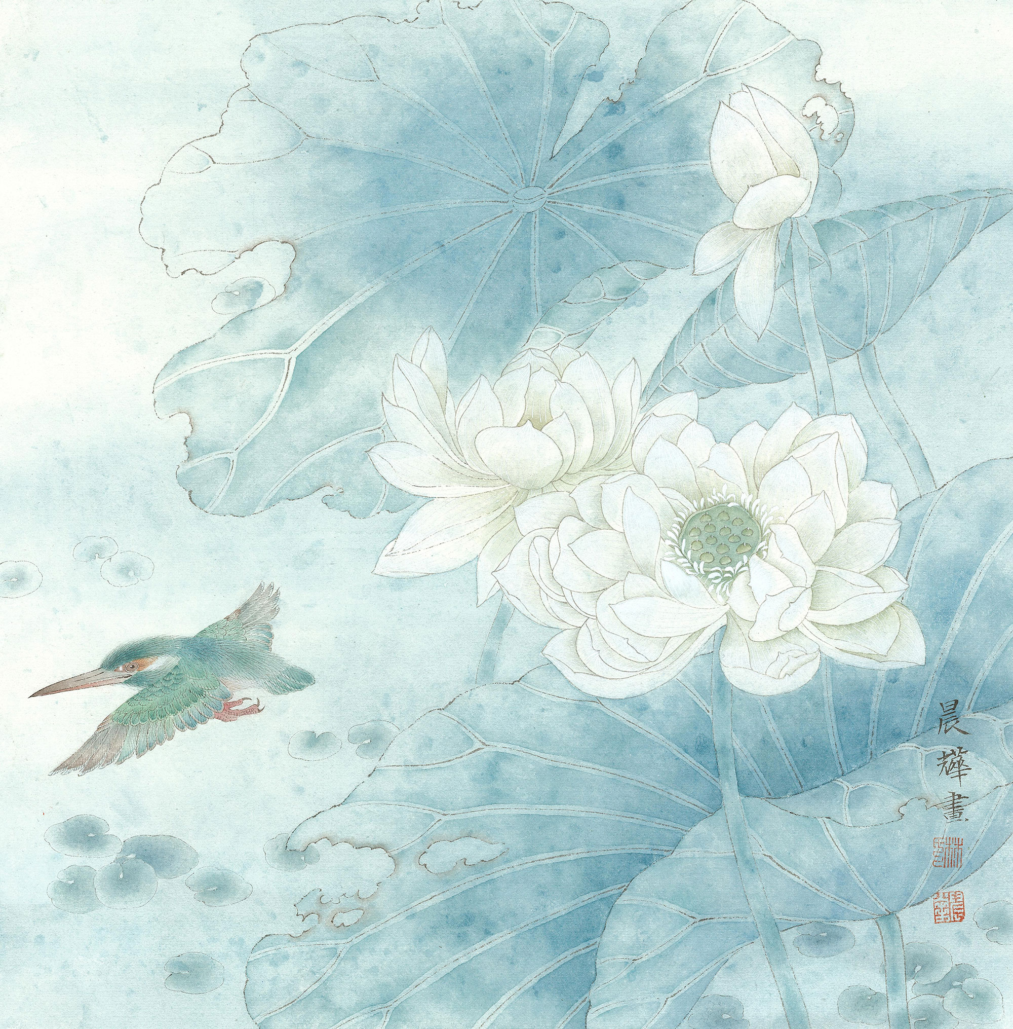 蓝翡翠40×40