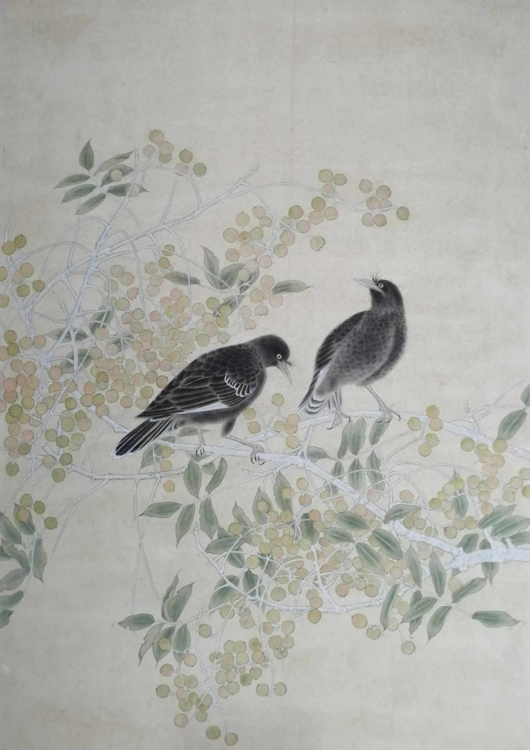 金橙凝香69×46