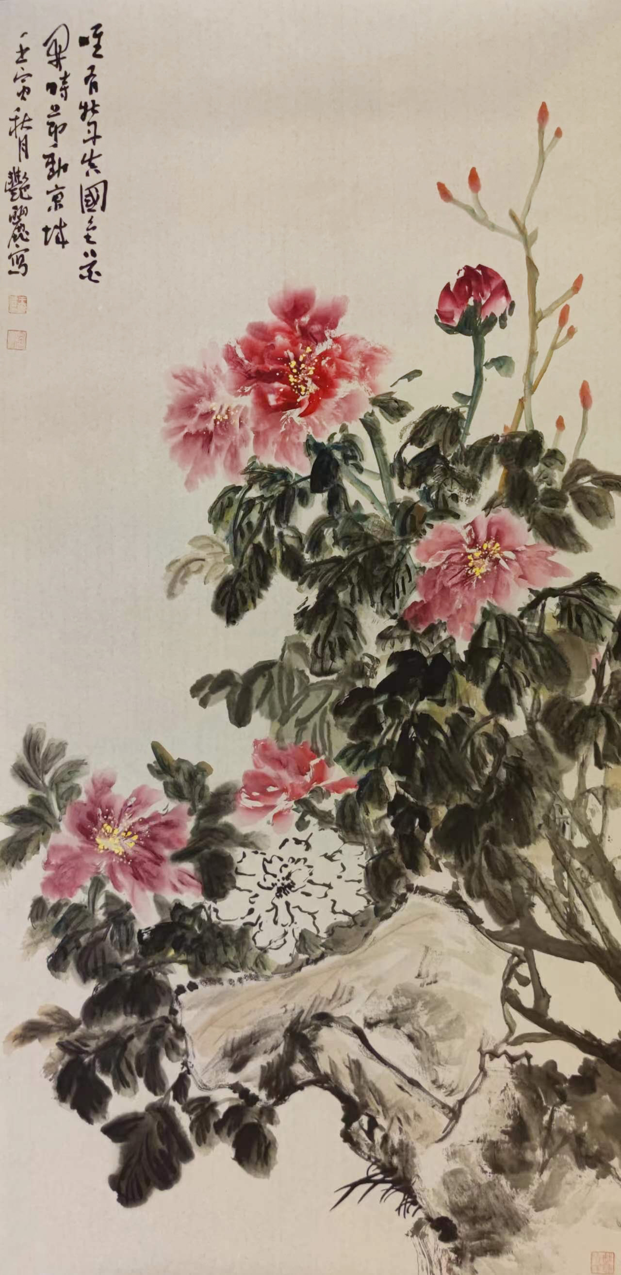 《牡丹图》