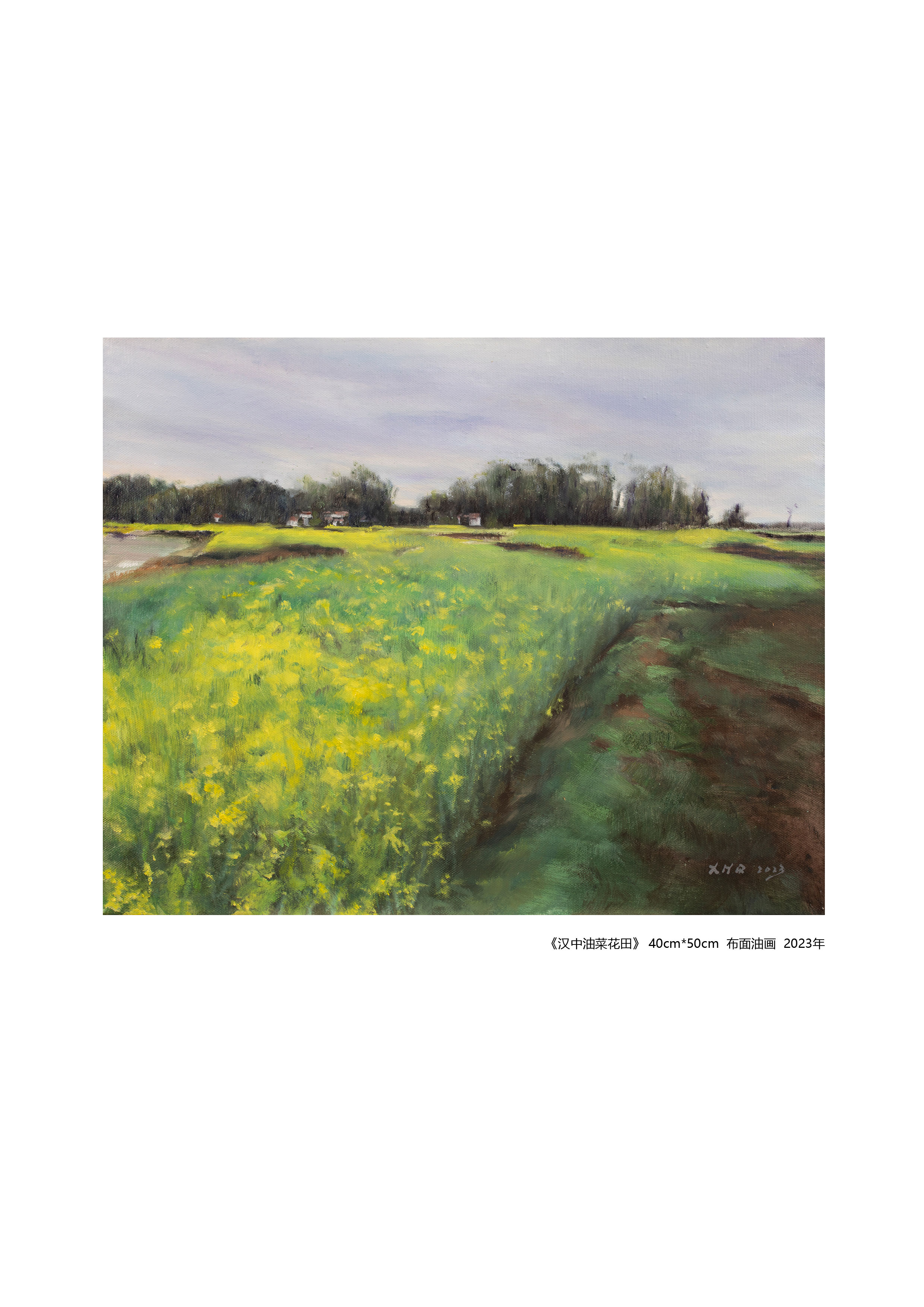 9.《汉中油菜花田》40cm×50cm布面油画2023年